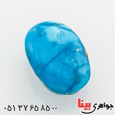 نگین انگشتر فیروزه نیشابوری شجری خوش نقش و رنگ بیضی _کد:12816