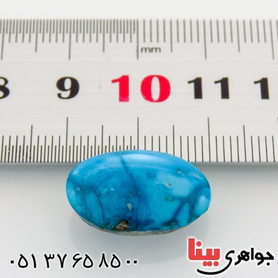 نگین انگشتر فیروزه نیشابوری شجری خوش نقش و رنگ بیضی _کد:12816