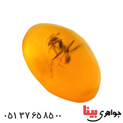 نگین انگشتر کهربا حشره ای روسی _کد:12843