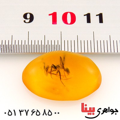 نگین انگشتر کهربا حشره ای روسی _کد:12843
