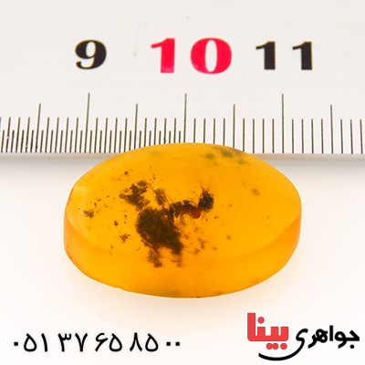 نگین انگشتر کهربا حشره ای روسی _کد:12844