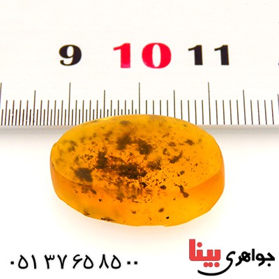نگین انگشتر کهربا حشره ای روسی _کد:12846
