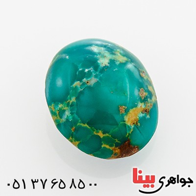 نگین انگشتر فیروزه نیشابوری شجری خوش نقش و رنگ _کد:12894
