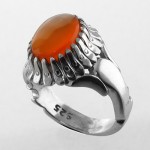 پاک عالی تک مردانه _کد:1791