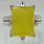 شرف الشمس چهارچنگ پروانه