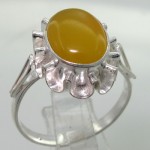 شرف الشمس طرح گل