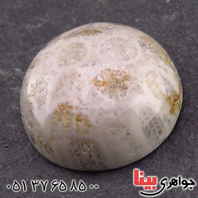 نگین انگشتر مرجان دریایی خوش نقش ناب _کد:13593