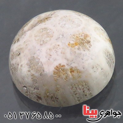 نگین انگشتر مرجان دریایی خوش نقش ناب _کد:13593