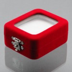 قاب نگین کلکسیونی لاکچری _کد:13679