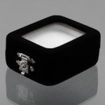 قاب جواهری نگین کلکسیونی لاکچری _کد:13829