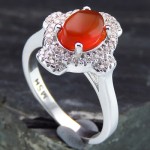 زنانه رودیوم مدل نیکتا _کد:13886
