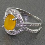 زنانه رودیوم مدل فریبا _کد:15365