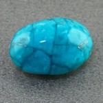 نیشابوری خوشرنگ _کد:15503
