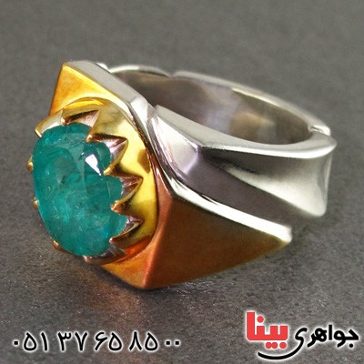مردانه درشت بسیار خوشرنگ _کد:2124 مردانه درشت بسیار خوشرنگ _کد:2124