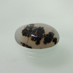 شجری طرح شماره 2