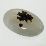 شجری طرح شماره 4