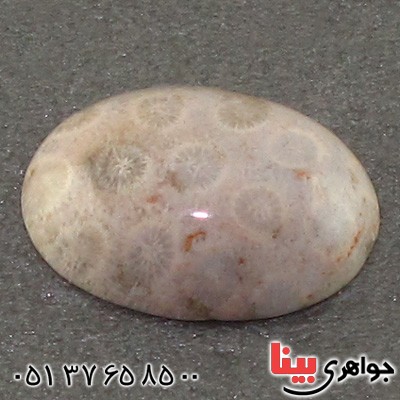 نگین انگشتر مرجان خوش نقش درشت _کد:15746