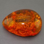 حشره ای درشت خوشرنگ _کد:16333
