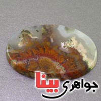 نگین عقیق شجری دریایی سه بعدی درشت نگین عقیق شجری دریایی سه بعدی درشت