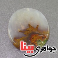 نگین عقیق شجری دریایی سه بعدی درشت نگین عقیق شجری دریایی سه بعدی درشت