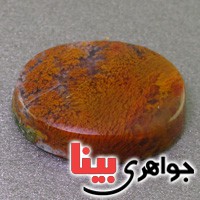 نگین عقیق شجری دریایی سه بعدی درشت عالی نگین عقیق شجری دریایی سه بعدی درشت عالی