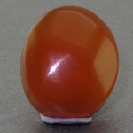 درشت خوشرنگ تک _کد:16909