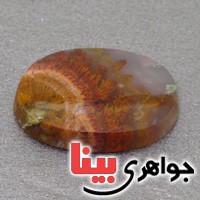 نگین عقیق شجری دریایی سه بعدی درشت نگین عقیق شجری دریایی سه بعدی درشت