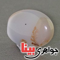 نگین عقیق شجری درشت خوشرنگ نگین عقیق شجری درشت خوشرنگ