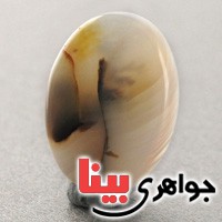 نگین عقیق شجری منظره ای سه بعدی دو رو درشت نگین عقیق شجری منظره ای سه بعدی دو رو درشت