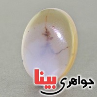 نگین عقیق شجری درشت خوش نقش نگین عقیق شجری درشت خوش نقش