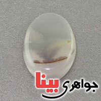 نگین عقیق یمنی شجری درشت خاص نگین عقیق یمنی شجری درشت خاص