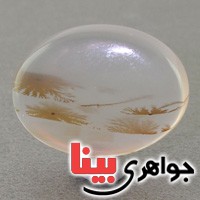 نگین عقیق شجری درشت بسیار زیبا نگین عقیق شجری درشت بسیار زیبا