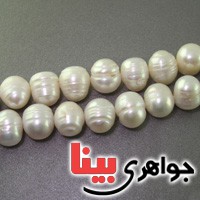 پرورشی 33 دانه ای درشت _کد:17225 پرورشی 33 دانه ای درشت _کد:17225