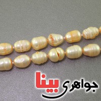 پرورشی درشت 33 دانه ای هلی _کد:17252 پرورشی درشت 33 دانه ای هلی _کد:17252
