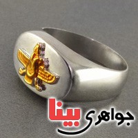 فروهر طلایی خاص _کد:17528 فروهر طلایی خاص _کد:17528