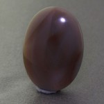 درشت خوشرنگ _کد:17598