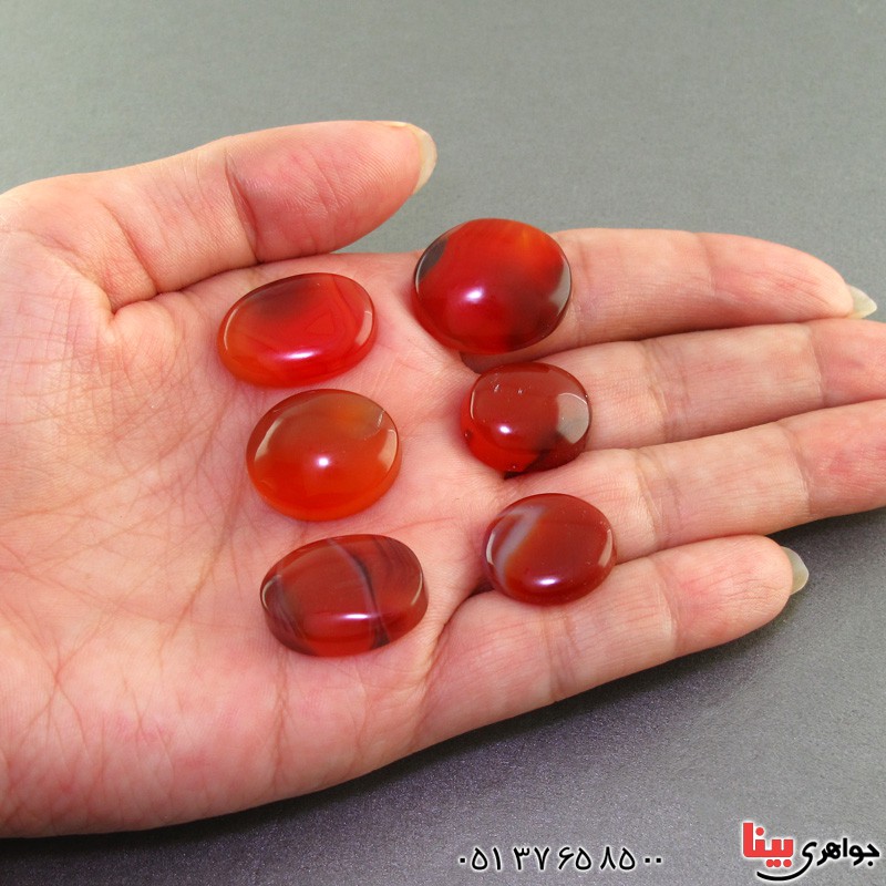 نگین انگشتر عقیق یمنی شجری 6 تایی بسیار خوشرنگ  و عالی _کد:17616
