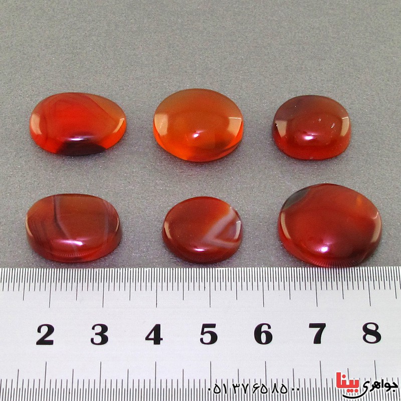 نگین انگشتر عقیق یمنی شجری 6 تایی بسیار خوشرنگ  و عالی _کد:17616