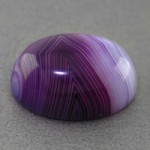 بنفش تک درشت _کد:17650
