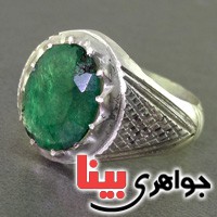 خوشرنگ مردانه عالی _کد:17667 خوشرنگ مردانه عالی _کد:17667