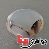 نگین عقیق یمنی شجری درشت خاص بسیار زیبا نگین عقیق یمنی شجری درشت خاص بسیار زیبا