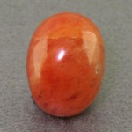 حسینی (خونی) بسیار خوشرنگ _کد:17876