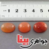 نگین انگشتر دُر خونی ( حسینی ) درشت خوشرنگ نگین انگشتر دُر خونی ( حسینی ) درشت خوشرنگ