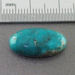 درشت خوشرنگ _کد:17940