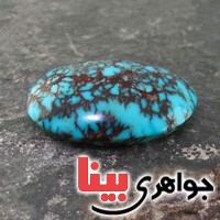 نگین فیروزه شجری درشت بسیار عالی نگین فیروزه شجری درشت بسیار عالی