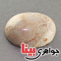 نگین مرجان دریایی درشت بسیار عالی نگین مرجان دریایی درشت بسیار عالی