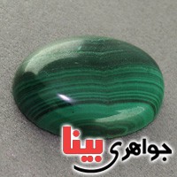 درشت عالی _کد:18289 درشت عالی _کد:18289