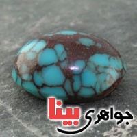 نگین فیروزه شجری درشت بسیار عالی ناب نگین فیروزه شجری درشت بسیار عالی ناب