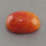 حسینی (خونی) درشت و خوشرنگ _کد:18409