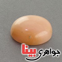 نگین انگشتر دُر حسینی (خونی) درشت زیبا نگین انگشتر دُر حسینی (خونی) درشت زیبا